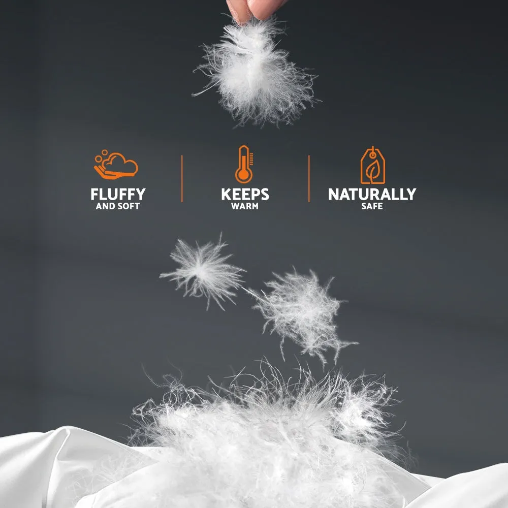 800GSM Goose Down Feather King Quilt, 100% Cotton Cover - Giselle Bedding