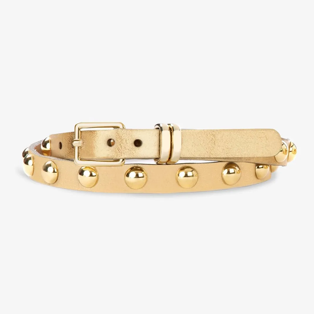 Becca Metallic Belt
