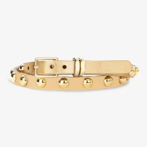 Becca Metallic Belt