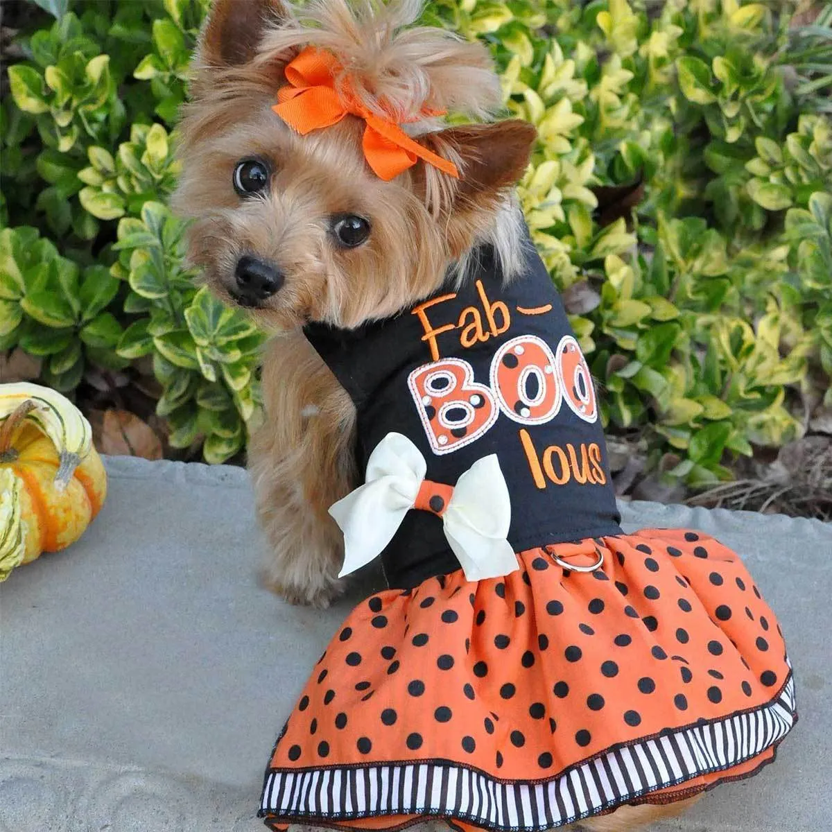 Fab-Boo-Lous Halloween Dog Dress
