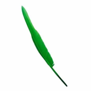 Goose Flight Wing Feather x 5 pcs - Lime Green ((SECONDS))