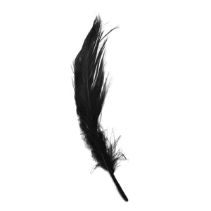 Goose Nagoire Feathers 10 grams - Black ((SECONDS))