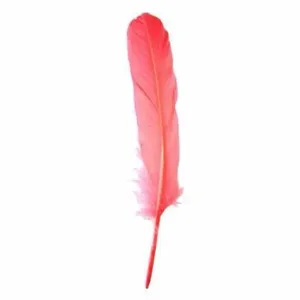 Goose Pointer Feathers 10 grams - Coral