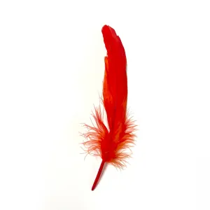 Goose Pointer Feathers 10 grams - Scarlet Orange ((SECONDS))