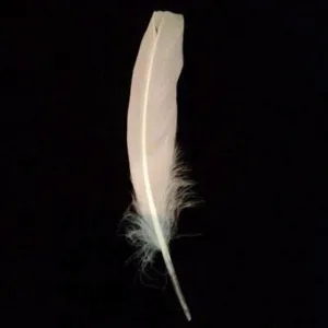 Goose Pointer Feathers 10 grams - White