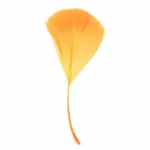 Stripped Goose Nagoire Feathers 10 grams - Apricot