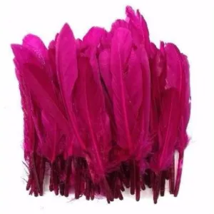 Tiny Goose Pointer Feathers 10 grams - Magenta